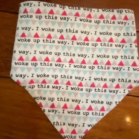 Bib and matching washcloth - Picture 2 of 4